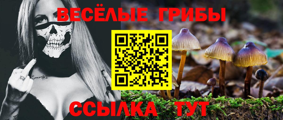 Псилоцибиновые грибы мицелий  Вход с VPN  Галлюциногенные грибы Magic Shrooms  Миллерово 