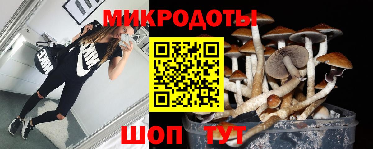 Псилоцибиновые грибы Psilocybine cubensis Миллерово
